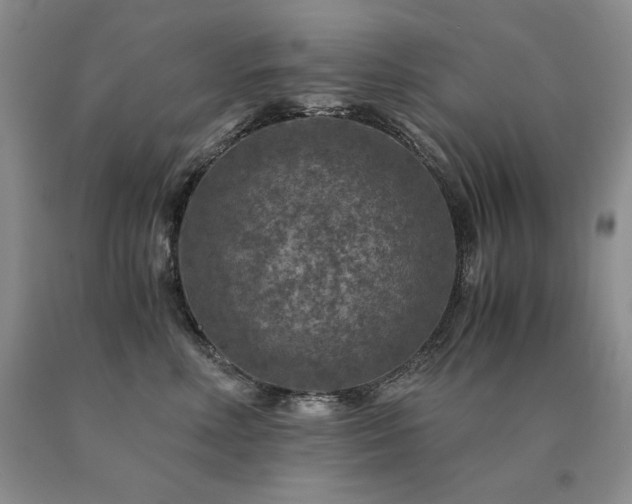 X0000091060618200708061243