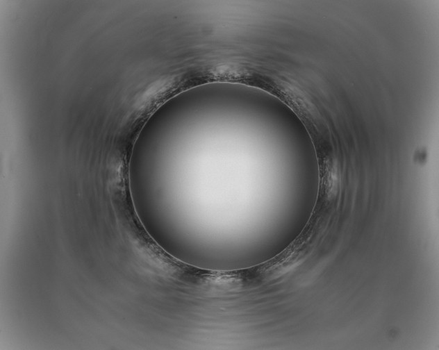 X0000091060619200708061243