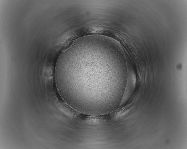 X0000091060620200708061243