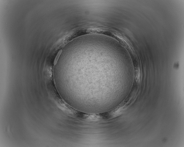 X0000091060621200708061243