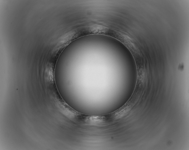 X0000091060622200708061243