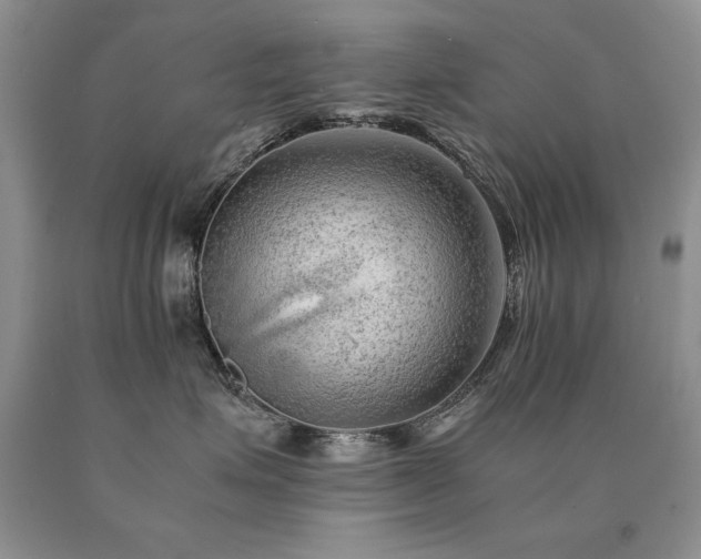 X0000091060623200708061243
