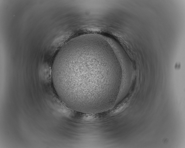 X0000091060624200708061243