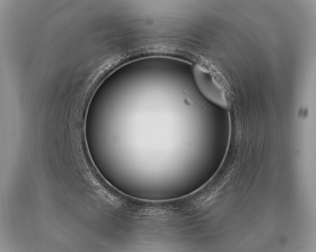 X0000091060625200708061242
