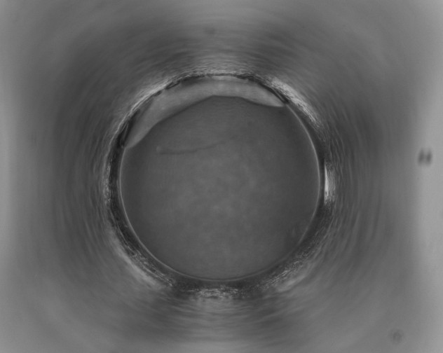 X0000091060627200708061242