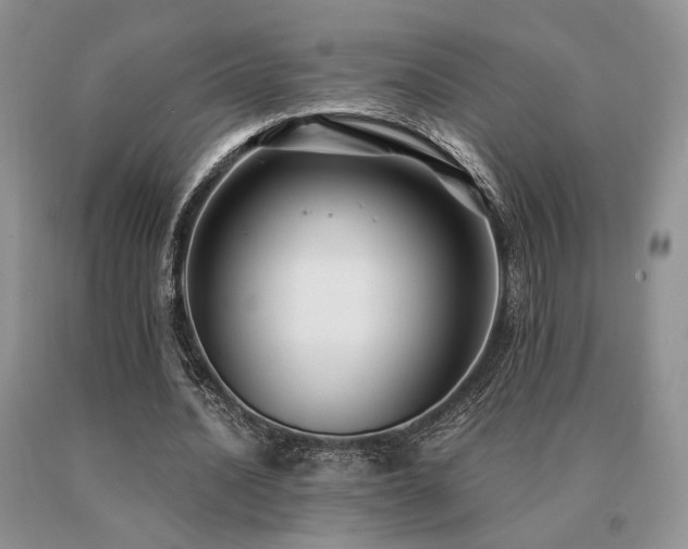 X0000091060628200708061242