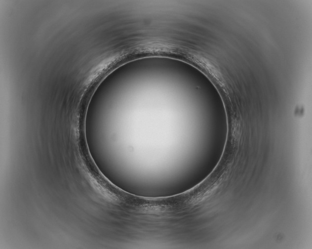 X0000091060629200708061242