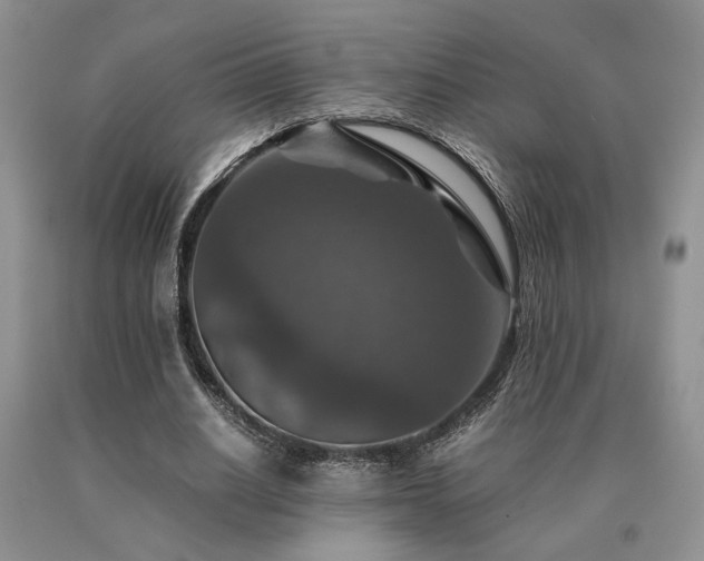X0000091060630200708061243