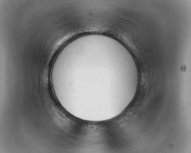 X0000091060632200708061243