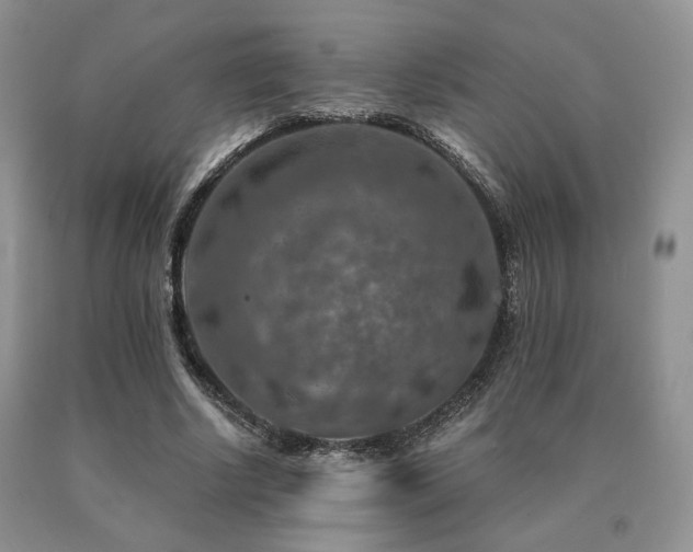 X0000091060634200708061243