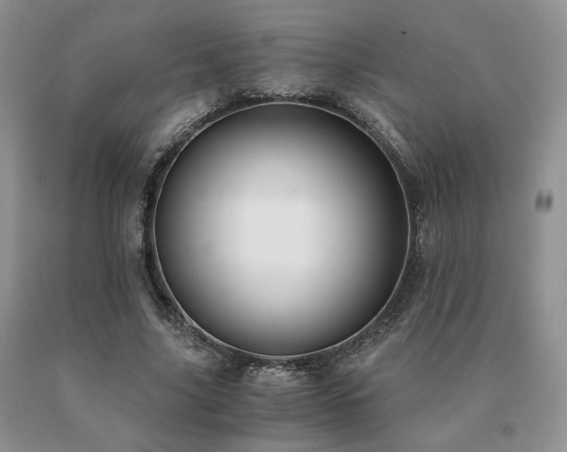 X0000091060635200708061243