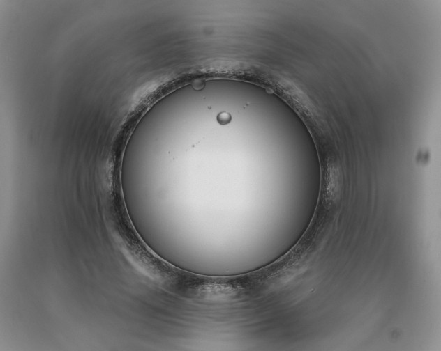 X0000091060636200708061243