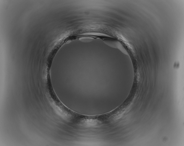 X0000091060637200708061243