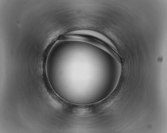 X0000091060638200708061243
