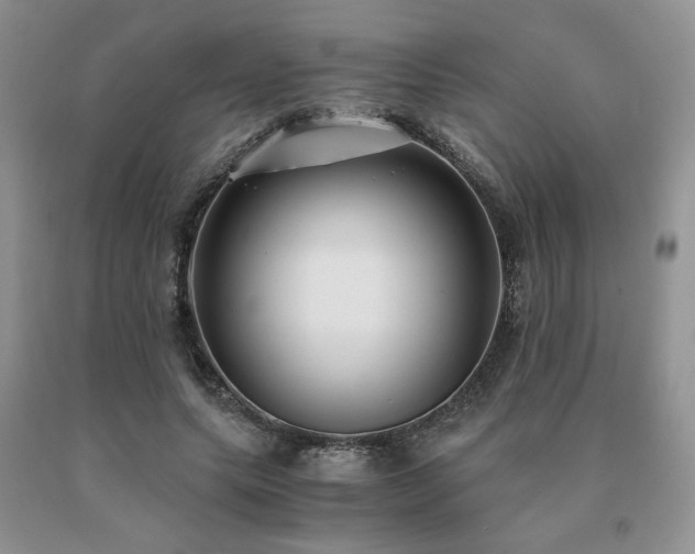 X0000091060639200708061243