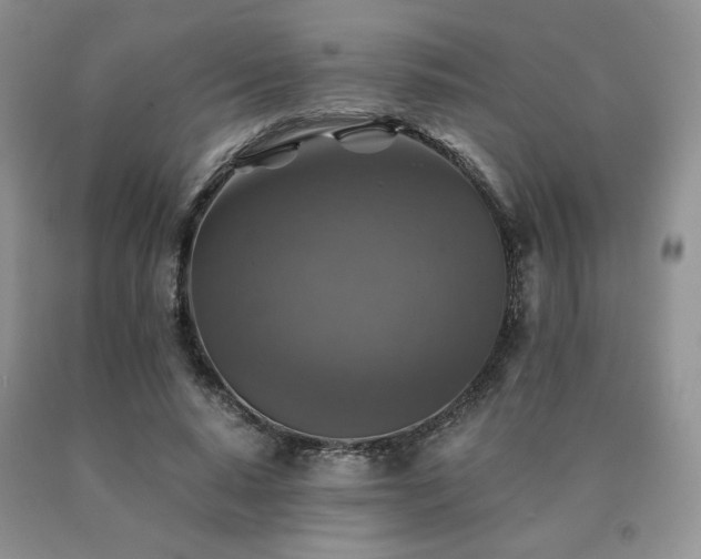 X0000091060640200708061243