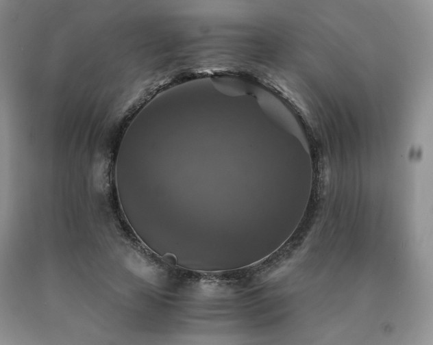 X0000091060641200708061243