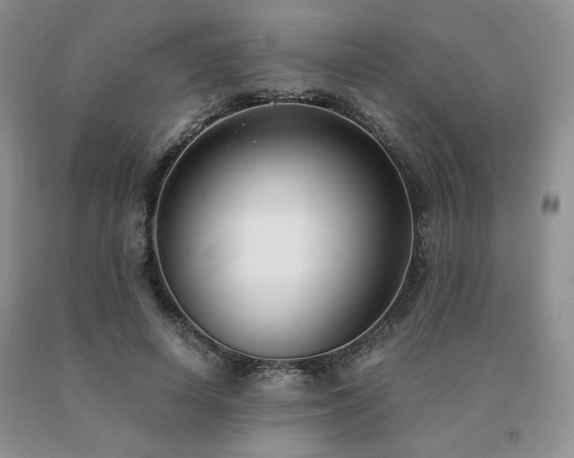 X0000091060642200708061243