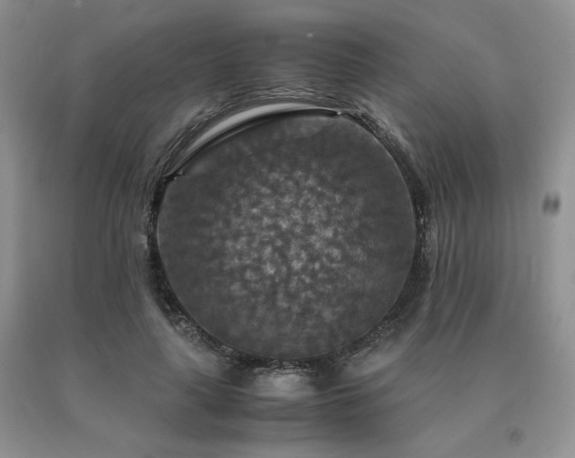 X0000091060643200708061243