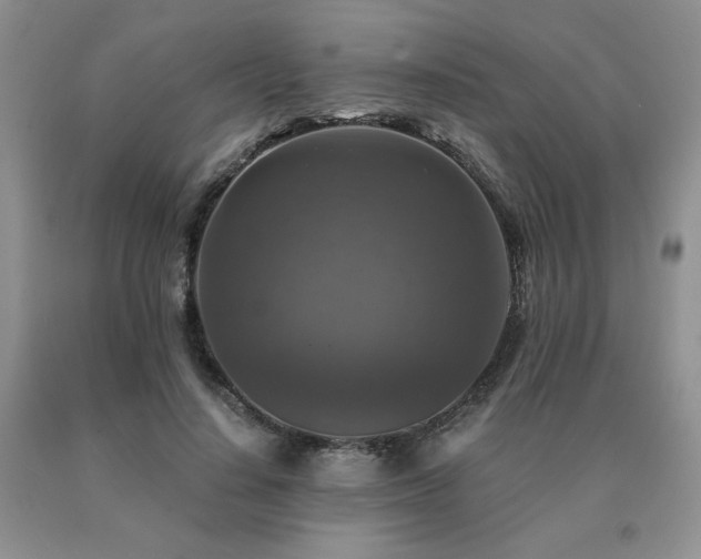 X0000091060644200708061243