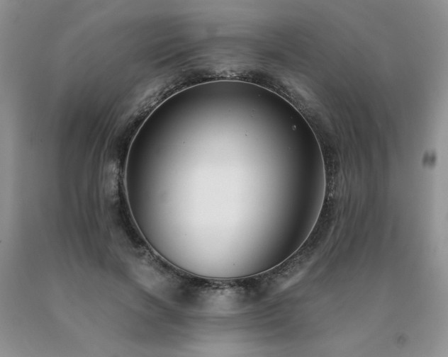X0000091060646200708061243