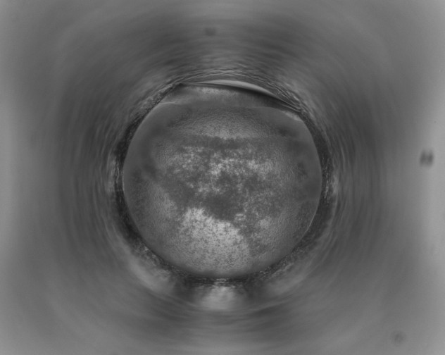 X0000091060647200708061243
