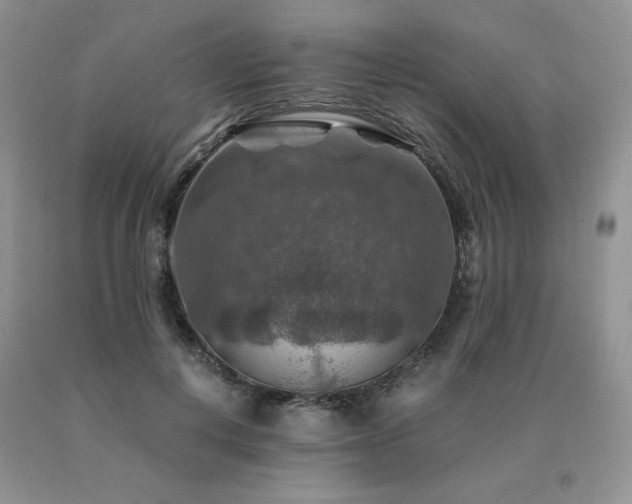 X0000091060648200708061243