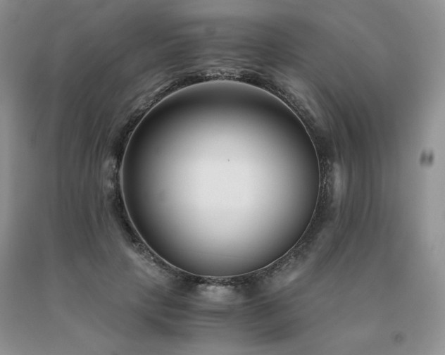 X0000091060649200708061243