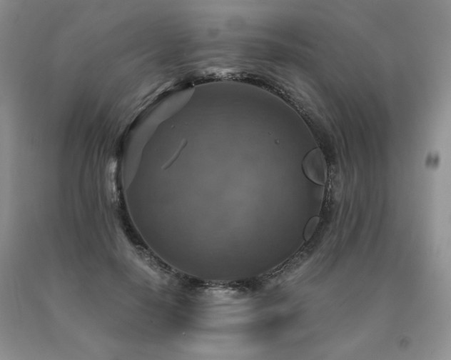 X0000091060650200708061243