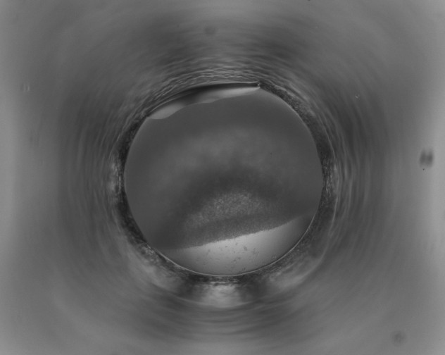 X0000091060651200708061243