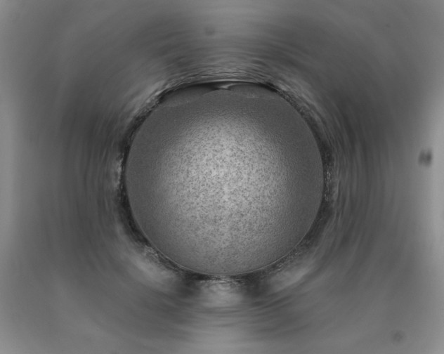 X0000091060652200708061243