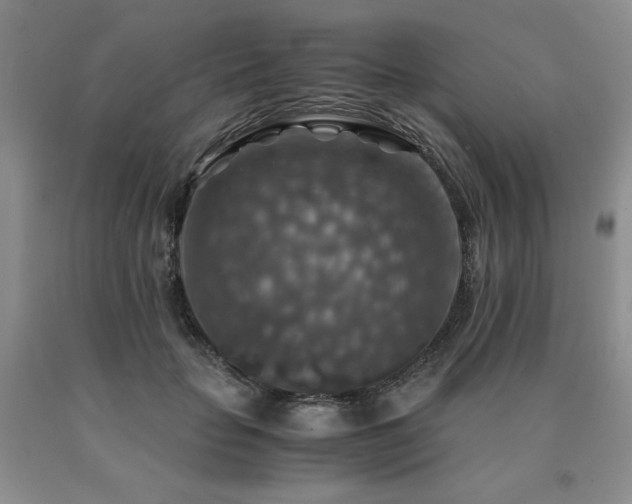 X0000091060653200708061243