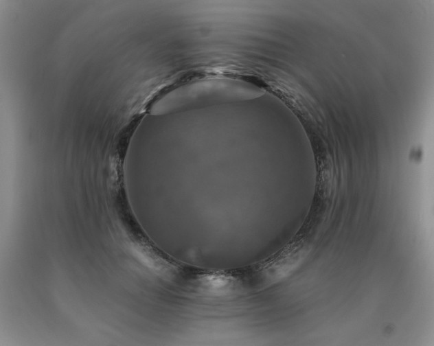 X0000091060654200708061243