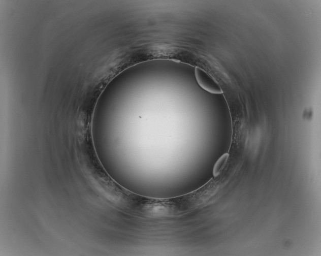 X0000091060655200708061243