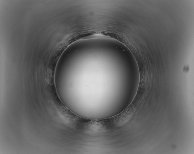 X0000091060656200708061243