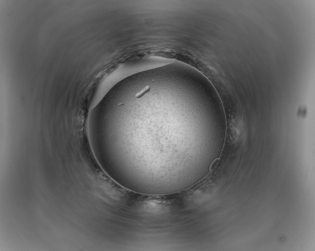 X0000091060657200708061243
