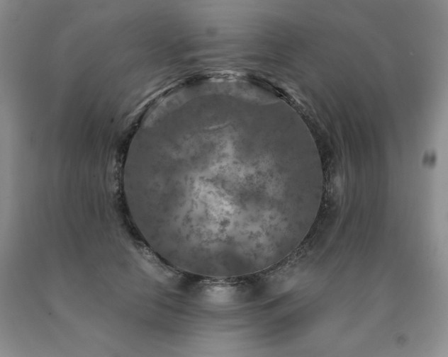 X0000091060658200708061243
