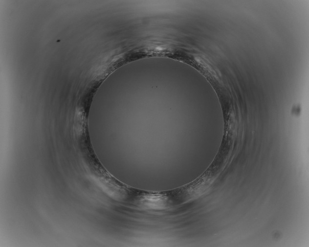 X0000091060659200708061243