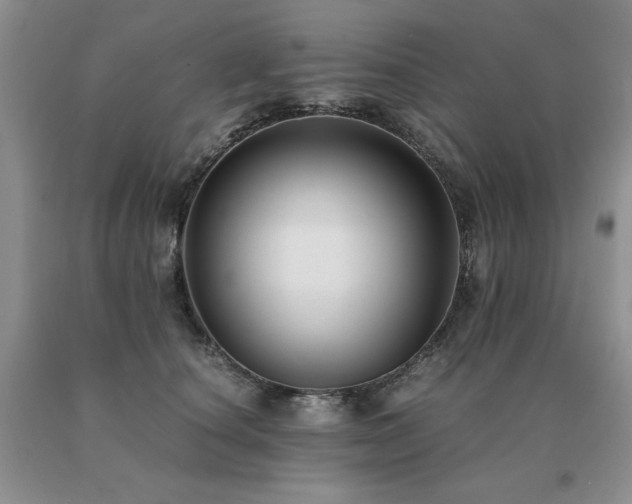 X0000091060660200708061243