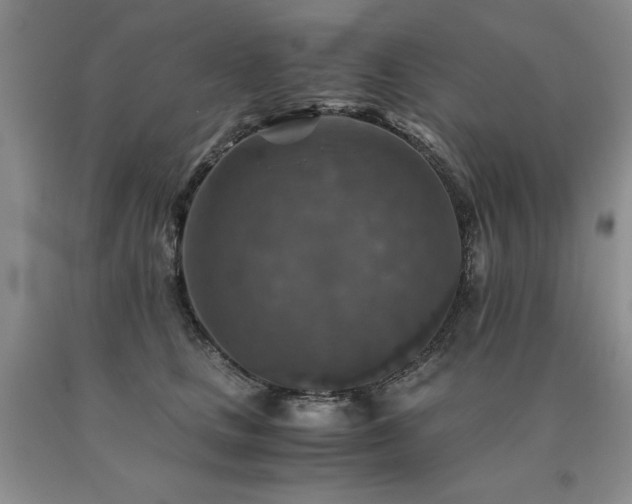 X0000091060661200708061243