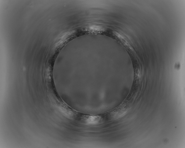 X0000091060663200708061243