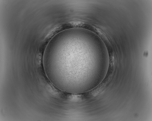 X0000091060664200708061243