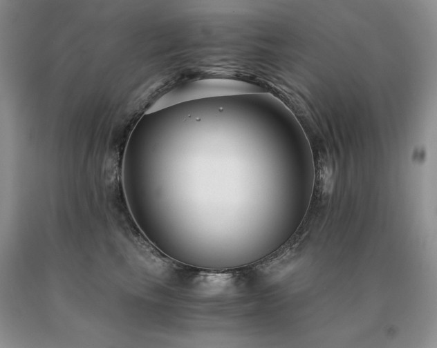 X0000091060665200708061243