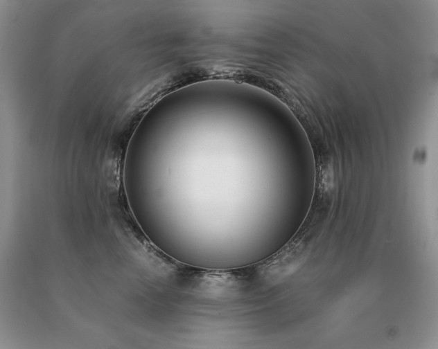 X0000091060666200708061243