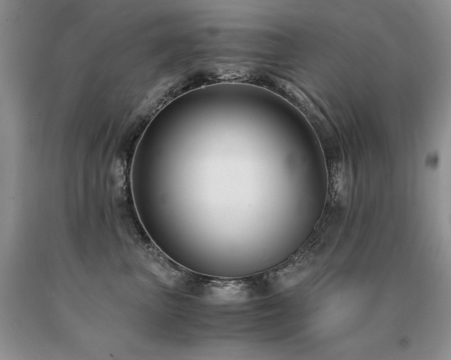 X0000091060667200708061243