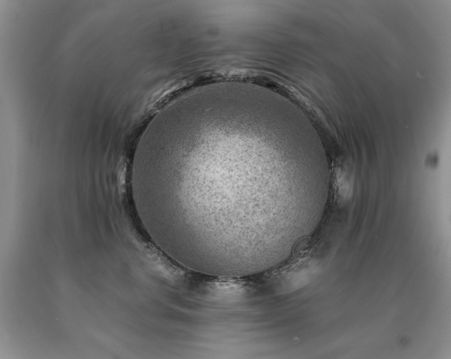 X0000091060668200708061243