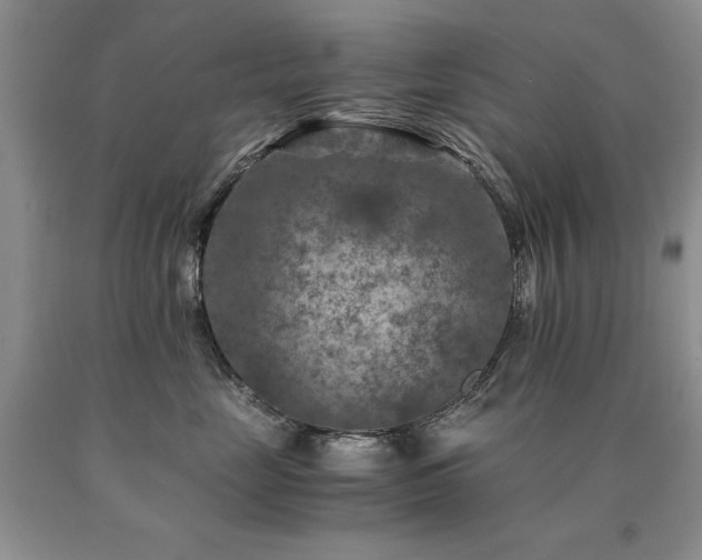 X0000091060669200708061243
