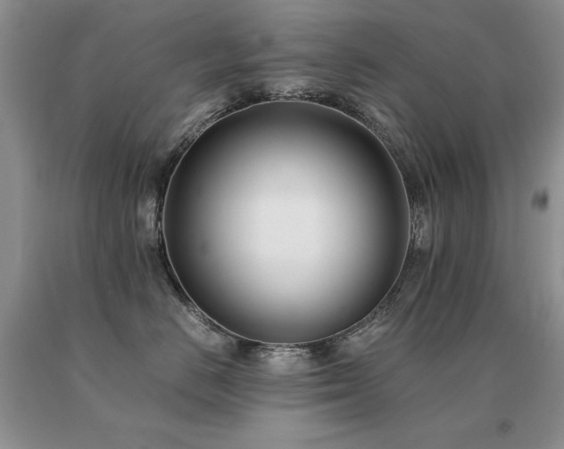 X0000091060670200708061243