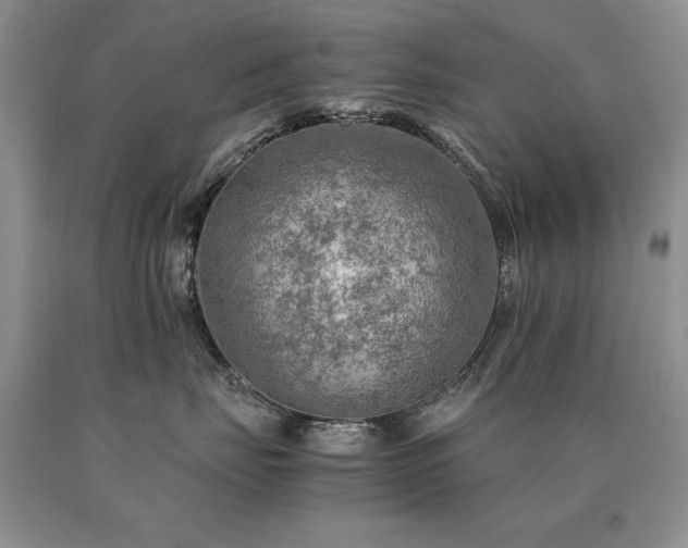X0000091060671200708061243