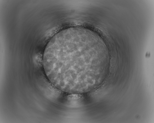X0000091060672200708061243